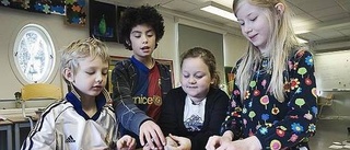 Inga nya pennor - Uppsalas skolor sparar
