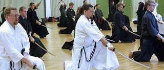 Mästare lärde ut japansk stridskonst