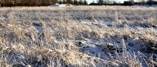 Nya prognosen: Snö väntas i Uppsala