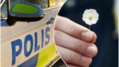 Ryckte majblommorna av 10-årig pojke i Umeå och försvann • Polisen söker vittnen: ”Pojken försökte springa ifatt”