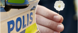 Ryckte majblommorna av 10-årig pojke i Umeå och försvann • Polisen söker vittnen: ”Pojken försökte springa ifatt”