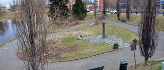 Vaknade blodig i parken