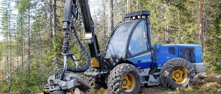 Stöd för att skapa regionala skogsprogram i Norr- och Västerbotten