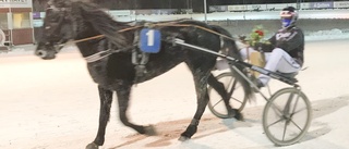 Hanna dubbel champion i Skellefteå