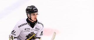 Efter skadan på stjärnan – VIK hämtar in ersättare från Hockeyettan