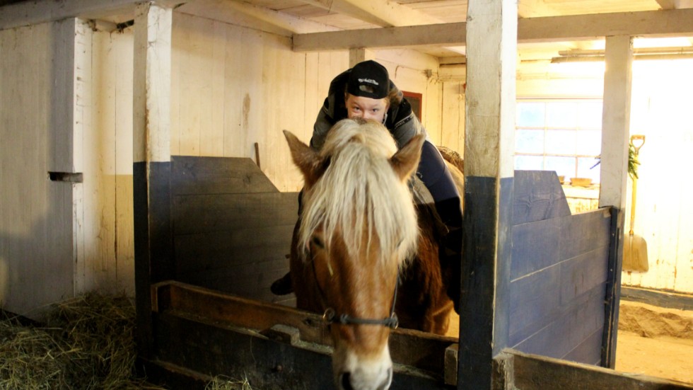 Att borra in näsan och andas in den trygga hästdoften är inte dumt. Här är det Sol Hoffsten som sitter på hästen Pralinen. 