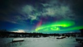 En kväll det gnistrade extra mycket om • "Bland det mäktigaste jag någonsin sett" • 37 norrskensbilder från Norrbotten