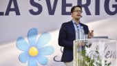 Polerade men udda i svensk politik
