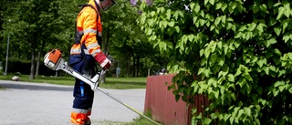 Nu får ungdomar i Nyköping besked om feriepraktiken: "Det är väldigt många som söker, det är populärt"