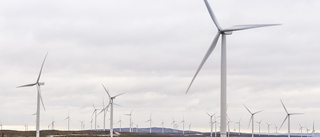 Skellefteå Kraft investerar 179 miljoner i ny vindkraft