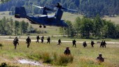 Sverige behöver inte Nato för fred