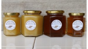 Honung från Vibonäsets Bigård