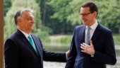 EU ska inte vara en bankomat för Ungern och Polen