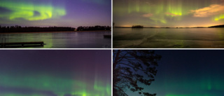 Norrskenet bjöd på show i Sörmland igen – se de magiska bilderna: "Det är naturens egna krafter"
