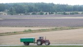27 miljoner till lantbrukare i norra Sverige