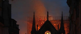 Notre-Dame och kampen för klimatet