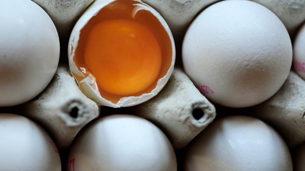 I ett recept på nätet på en smaskig frukosttoast med bland annat skinka och mozzarella ska verket krönas med att man ”kläcker” ett ägg i mitten. Smidigare att knäcka ett ägg, tycker krönikören, som ändå roas av tankevurpan.