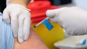 Vaccinerade sprider mindre smitta