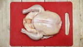 Se Uppdrag Granskning – vill du äta mera kyckling?