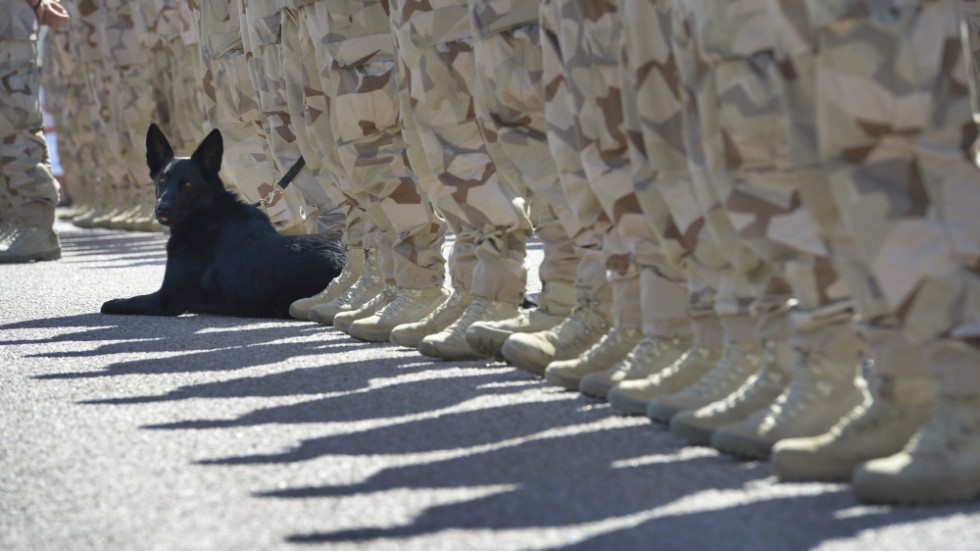 ÖB delar ut medaljer till den sista Afghanistanstyrkan vid en ceremoni utanför Armemuseet i maj 2014.