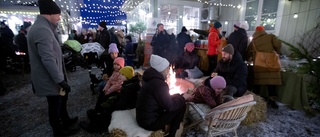 Julstämningen på topp på Pensionatets innergård: "Det är så mysigt att man smäller av"