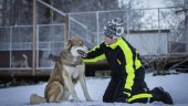 Cáppis årets bragdhund – räddade Alve ur vak
