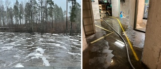 Översvämning i Borggård – företaget fick be räddningstjänsten om hjälp