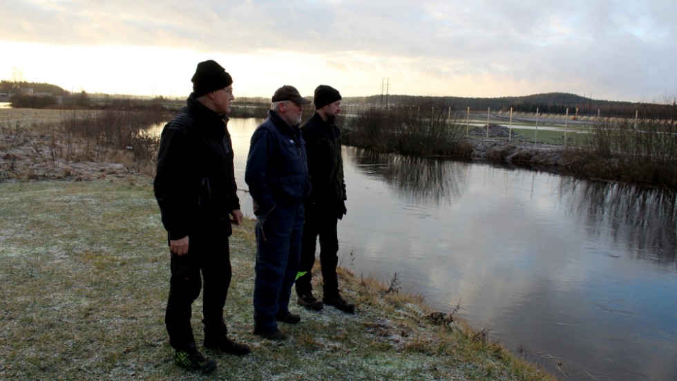 Stångåns vattenflöde ändras mycket under året, vilket gör det extra knepigt. "Problemet är att om vattennivån går ner för mycket så får växtligheten en bättre fart", säger Per Johansson (i mitten) Till vänster Mats Glindell, till höger Torbjörn Nilsson. 