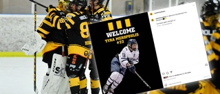 AIK rustar inför damhockeyallsvenskan – tar in kanadensisk forward: ”Kommer med fart och driv”