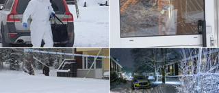Brutalt mord i Luleå – sköts med jaktgevär • Man gripen: "Ska ha ett möte med polisen"