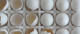 Nytt larm om salmonella – ägg återkallas