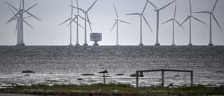 Regeringen går vidare med vindkraftsplaner