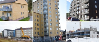 Statligt stöd till nya lägenheter upphör: Hyrorna blir högre i framtida byggen • ”Synd att skillnaderna ska vara så stora”