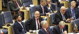 Ungersk delegation: Sverige skulle stärka Nato