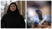 Vild orm bet Clara – på nyårsnatten i Rimforsa