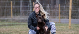 Emma, 42, har gått unik utbildning: "Hundnörd i det mesta jag gör"
