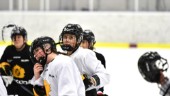 Vägen mot SDHL-kvalet inleds – så spelar AIK i damhockeyallsvenskan