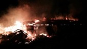 Cirka 70 kalvar döda efter brand