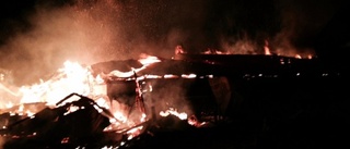 Cirka 70 kalvar döda efter brand