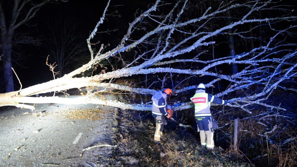 Räddningstjänsten har sågat ner en stor mängd träd som fallit ner över vägbanorna. Här på riksväg 134, strax öster om Kisa i höjd med Millingetorp.