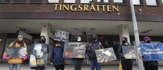 Här protesterar aktivister utanför tingsrätten – kräver tv-övervakning: "Djur är individer precis som vi"