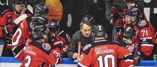 Tränaren får sparken av Piteå Hockey: "En besvikelse"