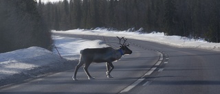 Trafikolycka på E 4