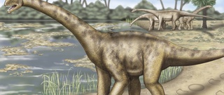 Jättedinosaurier kan ha varit känsliga för kyla