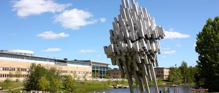Umeå universitet vill ha ett regionalt engagemang