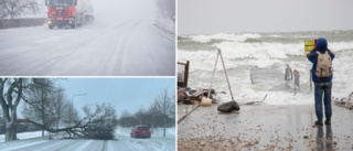 BILDEXTRA: Så slog ovädret mot Gotland • SMHI: ”Snudd på orkan” • Där blåste det mest