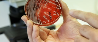 Resistenta bakterier kan bli nästa globala hälsokris