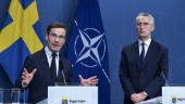 En folkomröstning skulle inte ha hjälpt NATO-frågan