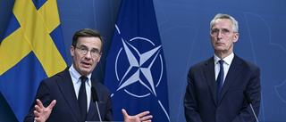En folkomröstning skulle inte ha hjälpt NATO-frågan