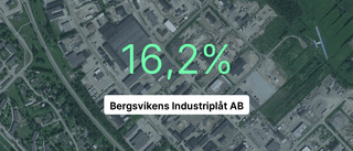Guldår för Bergsvikens Industriplåt AB